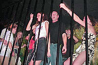 Night Clubs Puerto Vallarta - Zoo Bar & Dance