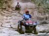 Bucerias ATV Tour