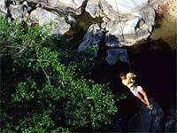 Los Veranos Canopy Tour