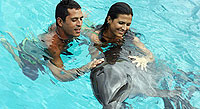 Swim with Dolphins in Nuevo Vallarta
