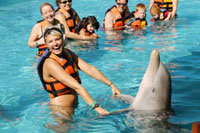 Dolphin Encounter Sea Life Park Nuevo Vallarta