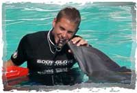 Dolphin Trainer Nuevo Vallarta