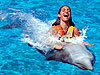 Dolphin Swim Adventure