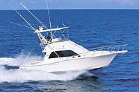 Riviera Nayarit Yacht Charter
