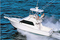 Nuevo Vallarta Fishing