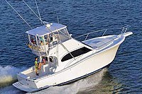 Nuevo Vallarta Fishing