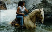 Nuevo Vallarta Horseback Riding