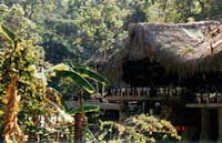El Eden