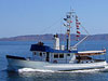 Private Boat Charter