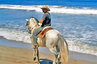 Nuevo Vallarta Private Horseback Riding
