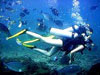 Scuba Diving
