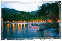 Vallarta Adventures Rhythms of the Night Tour