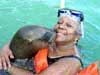 Snorkel with Sea Lions