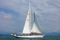 Pegaso Sailboat