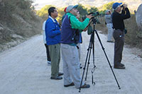 Puerto Vallarta Birdwatching Tour