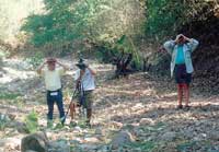 Puerto Vallarta Birdwatching