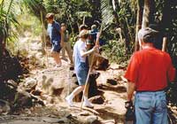 Nuevo Vallarta Hiking