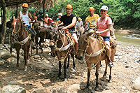 Nuevo Vallarta Mule Riding