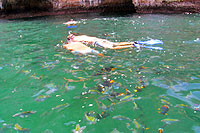 NuevoVallarta Snorkeling