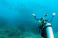 Discover Scuba Diving Swimming Pool