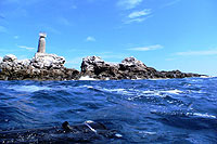 Puerto Vallarta Scuba Diving