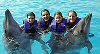 Riviera Nayarit Dolphin Swimming