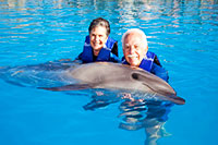 Puerto Vallarta Dolphin Swimming