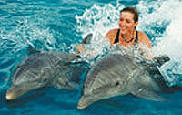 Dorsal Tow - Puerto Vallarta Dolphin Swimming