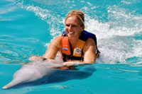 Nuevo Vallarta Dolphins