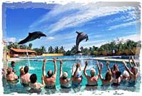 Dolphin Encounter Nuevo Vallarta