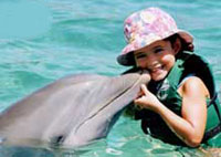 Splash Vallarta Dolphin Encounter