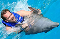 Dolphin swimming in Puerto Vallarta Mexico