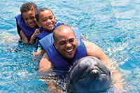 Private Dolphin Swim in Puerto Vallarta