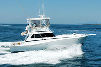 Deep Sea Fishing Nuevo Vallarta