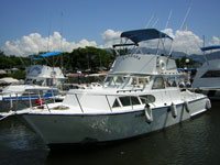 Puerto Vallarta Fishing