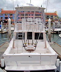 35' Cabo - Riviera Nayarit Fishing