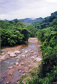 Nuevo Vallarta Horseback Riding