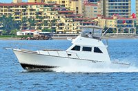 Private Fishing Boat - Vallarta