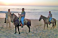 Private Horseback Riding Nuevo Vallarta