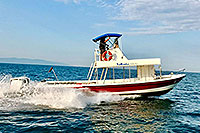 Zodiac Whale Watching Puerto Vallarta