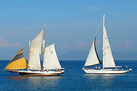 Sailing in Nuevo Vallarta