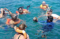 Snorkeling in Nuevo Vallarta