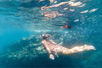 Snorkeling Tour Vallarta