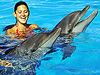 Dolphin Experience