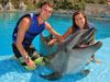Couples Dolphin Swim