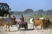 La Desembocada ATV Tour, Nuevoo Vallarta