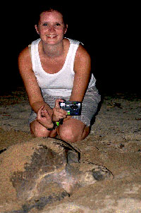 Sea Turtle Release, Puerto Vallarta Tours