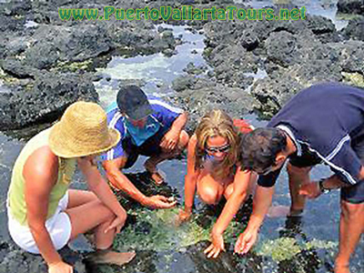 Shore Excursion on Beautiful Vallarta